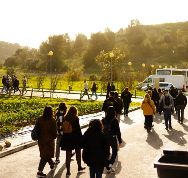 Boost Portugal imagem 2738