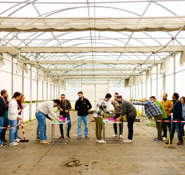 Boost Portugal imagem 2734