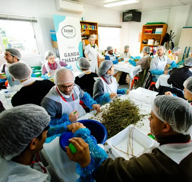 Boost Portugal imagem 2737