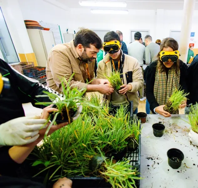 Boost Portugal imagem 2733