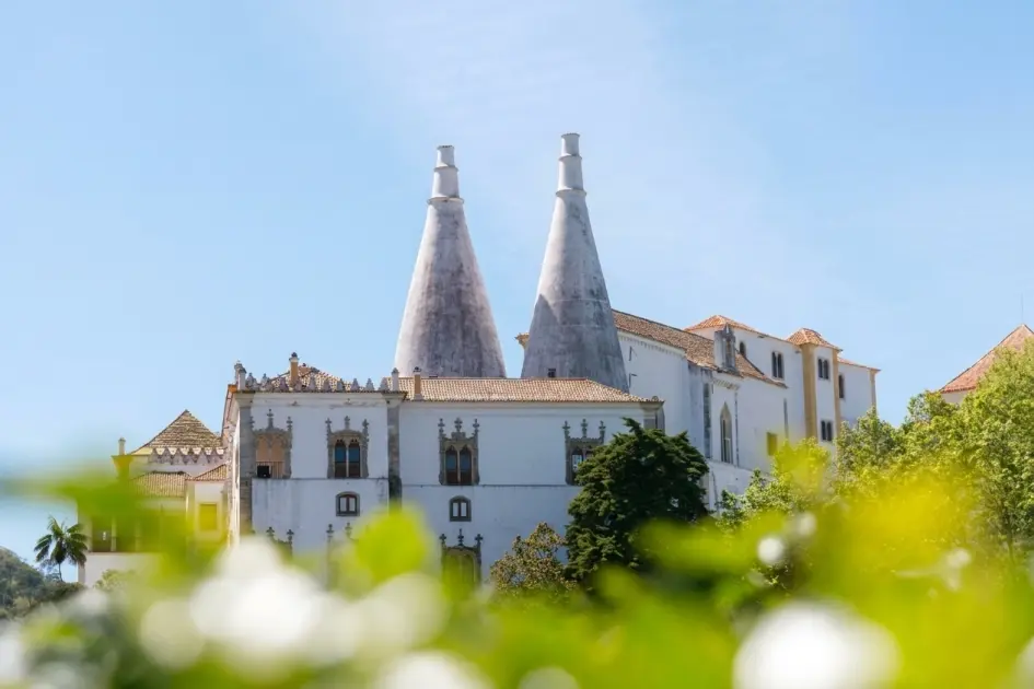 Sintra & Cascais Day Trip: Pena Palace, Regaleira & Cabo da Roca from Lisbon 17