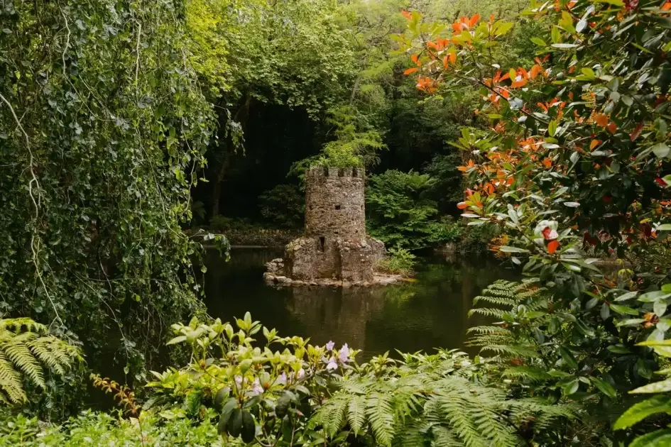 Tour de Meio-Dia a Sintra desde Lisboa com Jardins do Palácio da Pena 2