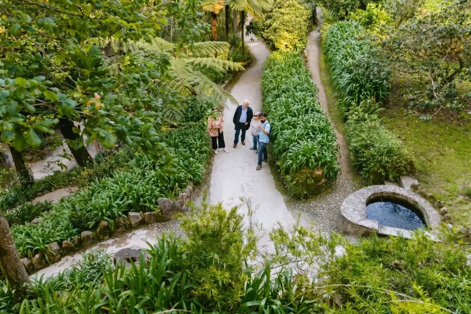 Tour de Um Dia a Sintra desde Lisboa: Palácio da Pena e Quinta da Regaleira 12