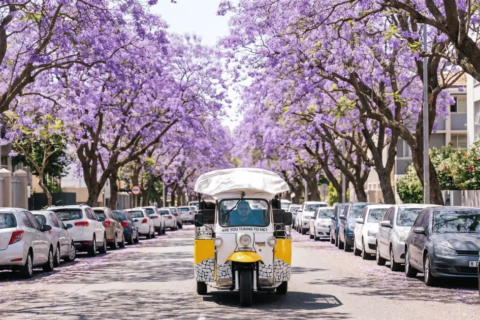 From Lisbon to Belém by Tuk Tuk 11