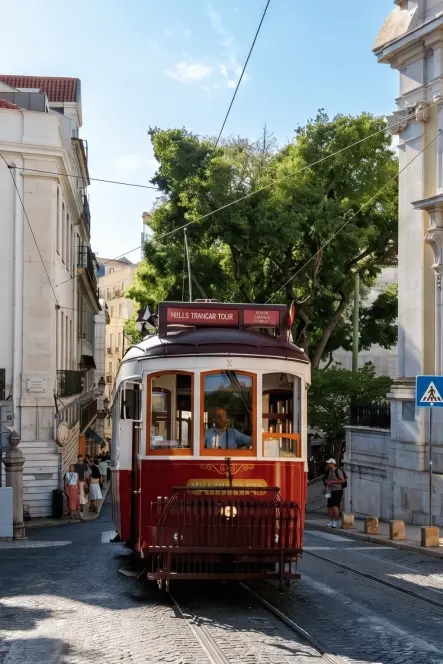 Boost Portugal imagem 4223