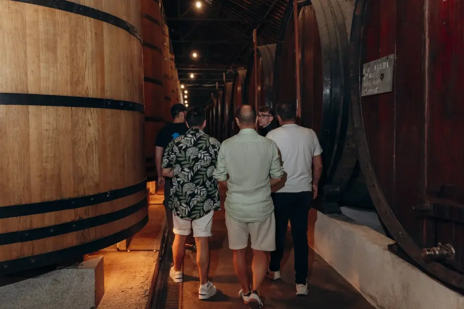 Tour Tuk Tuk no Porto com Prova de Vinho e Visita a Cave 5